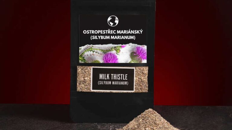 Ostropestřec mariánský, přírodní síla pro regeneraci organismu